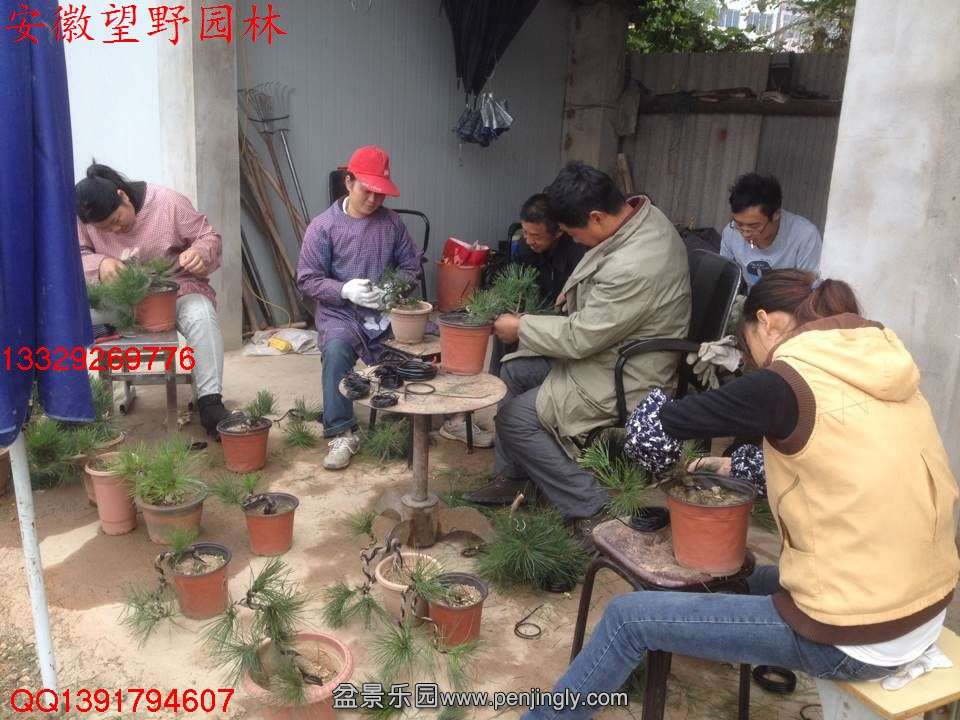 D4BB292F89815F97DEAF3DA8CC86819C.jpg