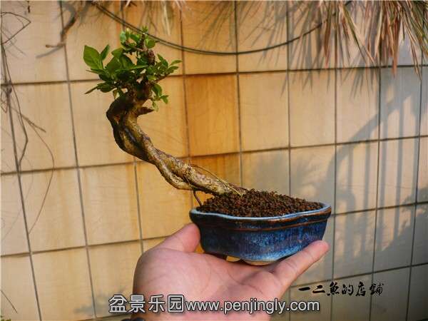 QQͼƬ20141017111656.jpg