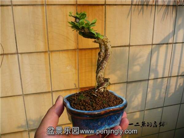 QQͼƬ20141017111704.jpg