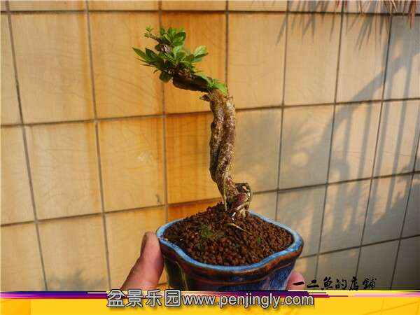QQͼƬ20141017111737.jpg