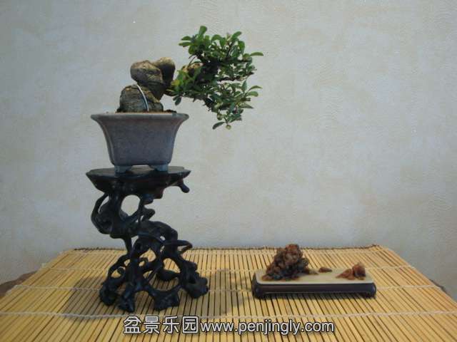 DSC09151.JPG