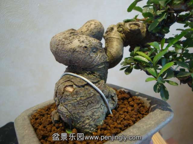 DSC09154.JPG