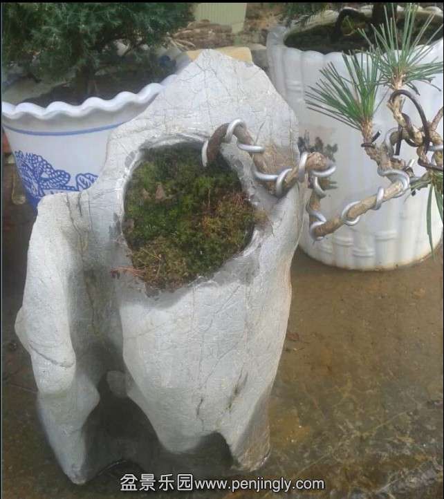 QQͼƬ20141018093351.jpg