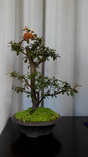 IMG_20141018_104521.jpg