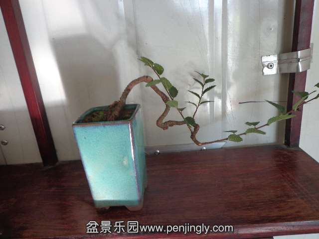 DSC00380.JPG