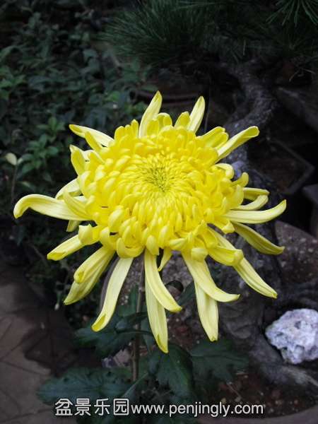 DSCF0353.jpg