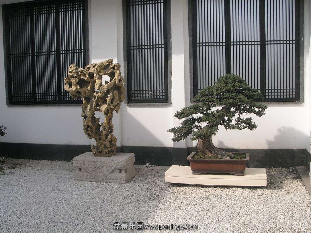 PA176166.JPG