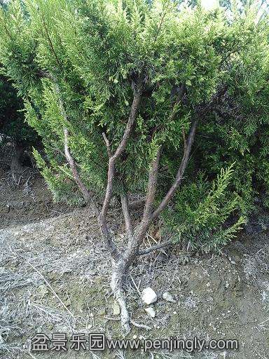 20140926_141947.jpg