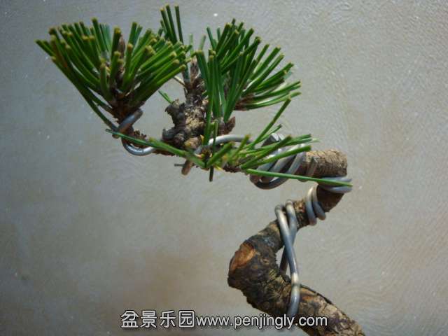 DSC09258.JPG