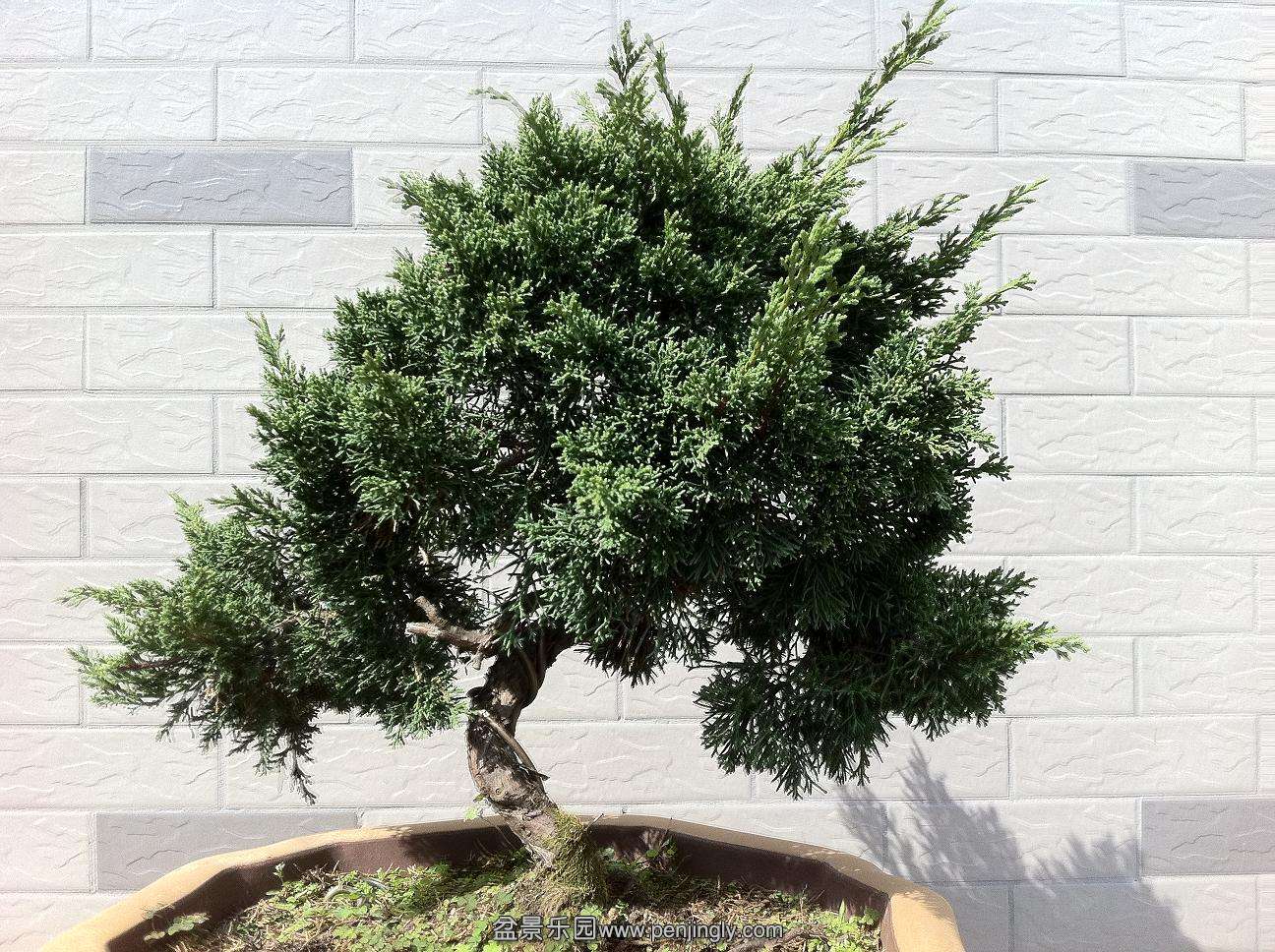 20141019������� 001.jpg