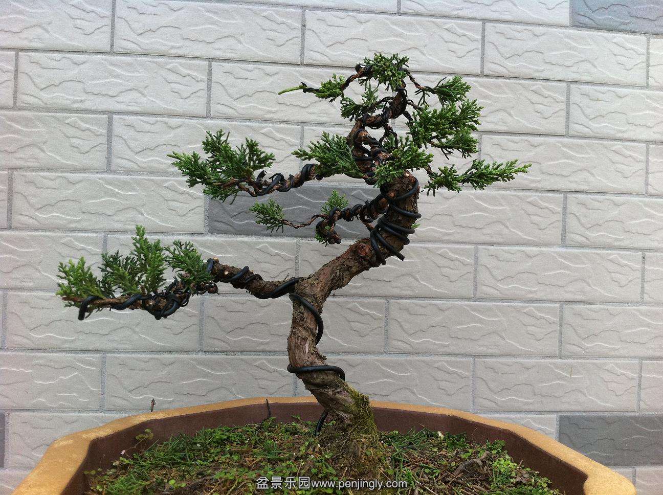 20141019������� 002.jpg