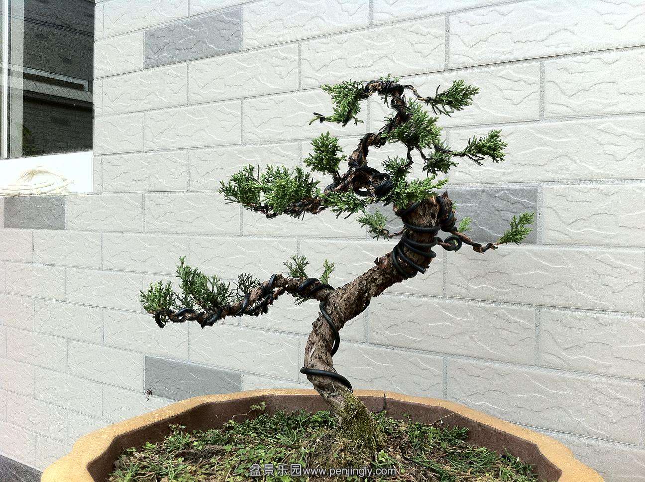 20141019������� 005.jpg