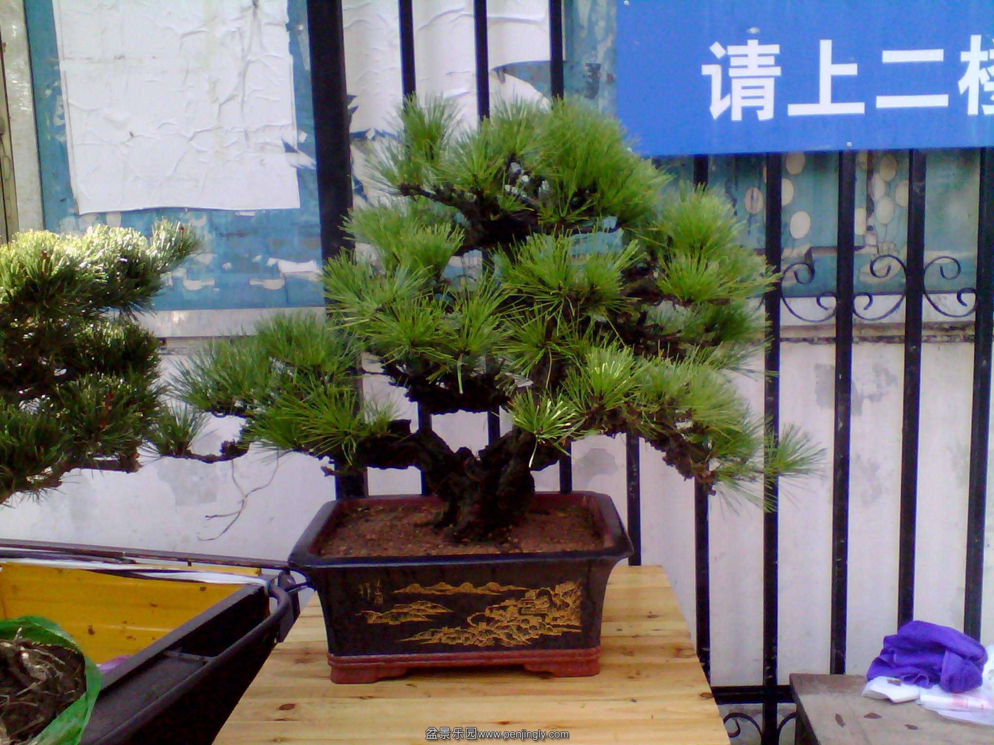 IMG_20141019_104431.jpg