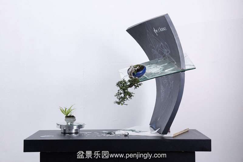 HR_010Bonsai.JPG