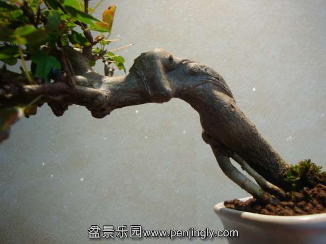 DSC09280.JPG
