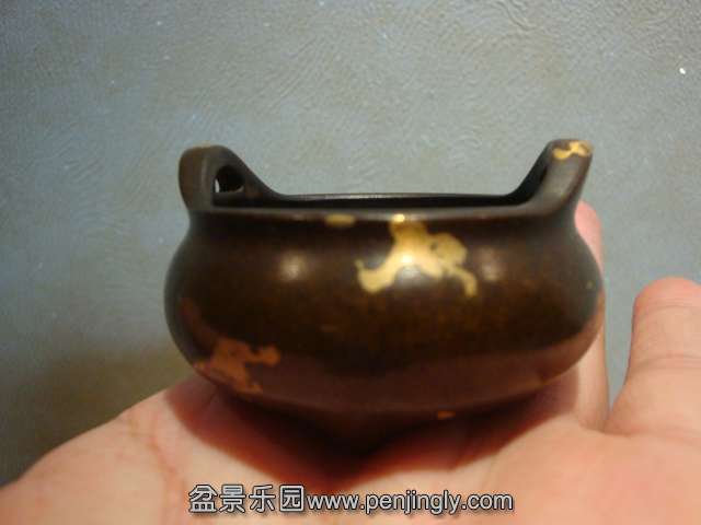 DSC09282.JPG