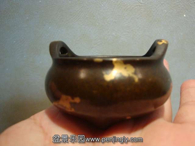 DSC09283.JPG