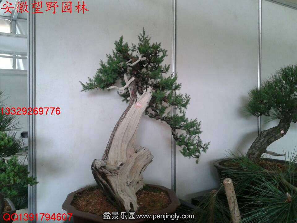 42B68101AC6AC60D63DBD169A12EC025.jpg