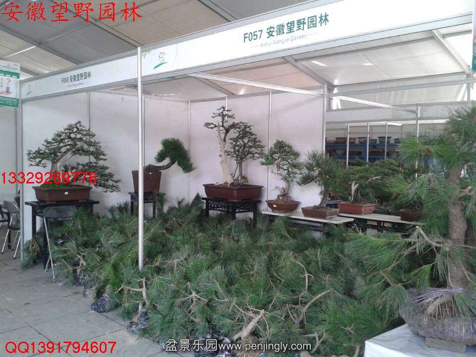 ABD8CF0CE256BA0D16A5CFBFC34365B7.jpg