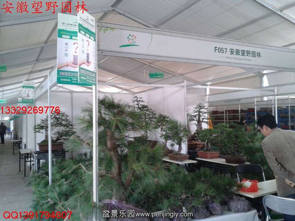 BA7B4900CF05F88E499D3E8126BFA1B2.jpg