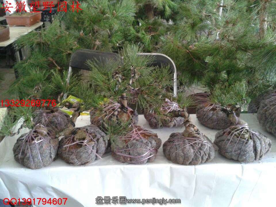 D714DA8E02B208F5D13EBACC44BDA4AF.jpg