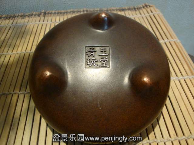 DSC09317.JPG