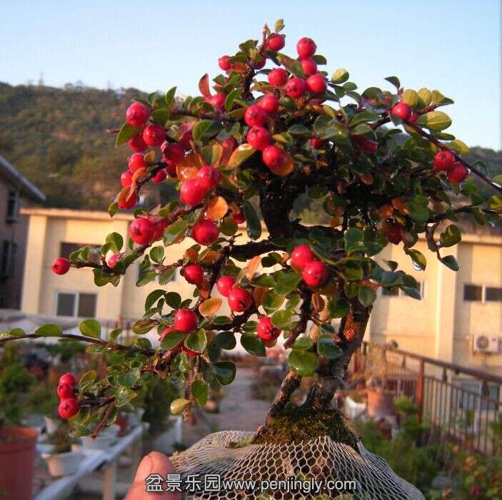 QQͼƬ20141024213717.jpg