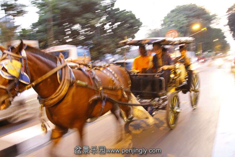 _MG_4161.JPG