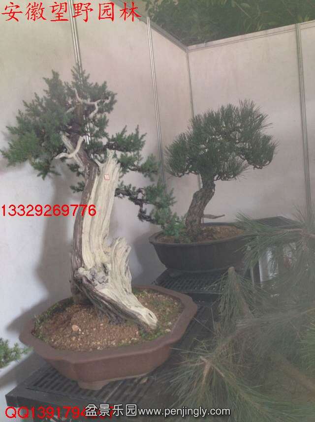 0B8D1F9BBC366B8D8253FDA51CF8987C.jpg