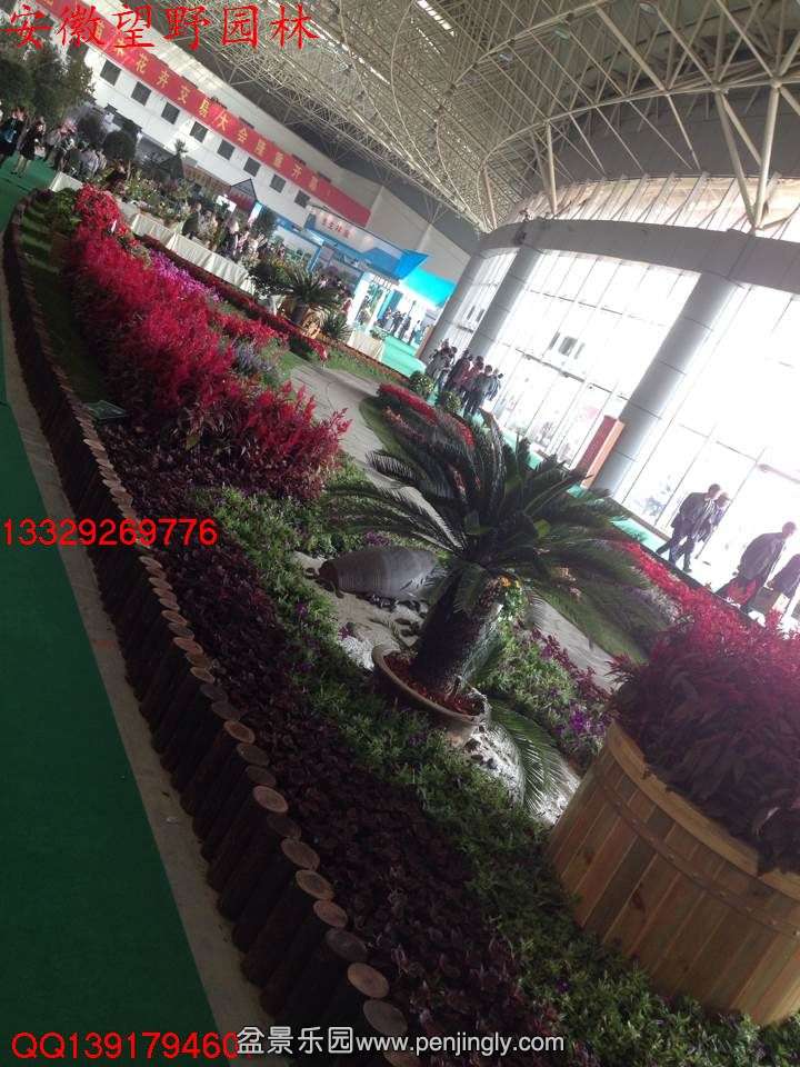 1EC98FE352E30292737DA51173E54100.jpg