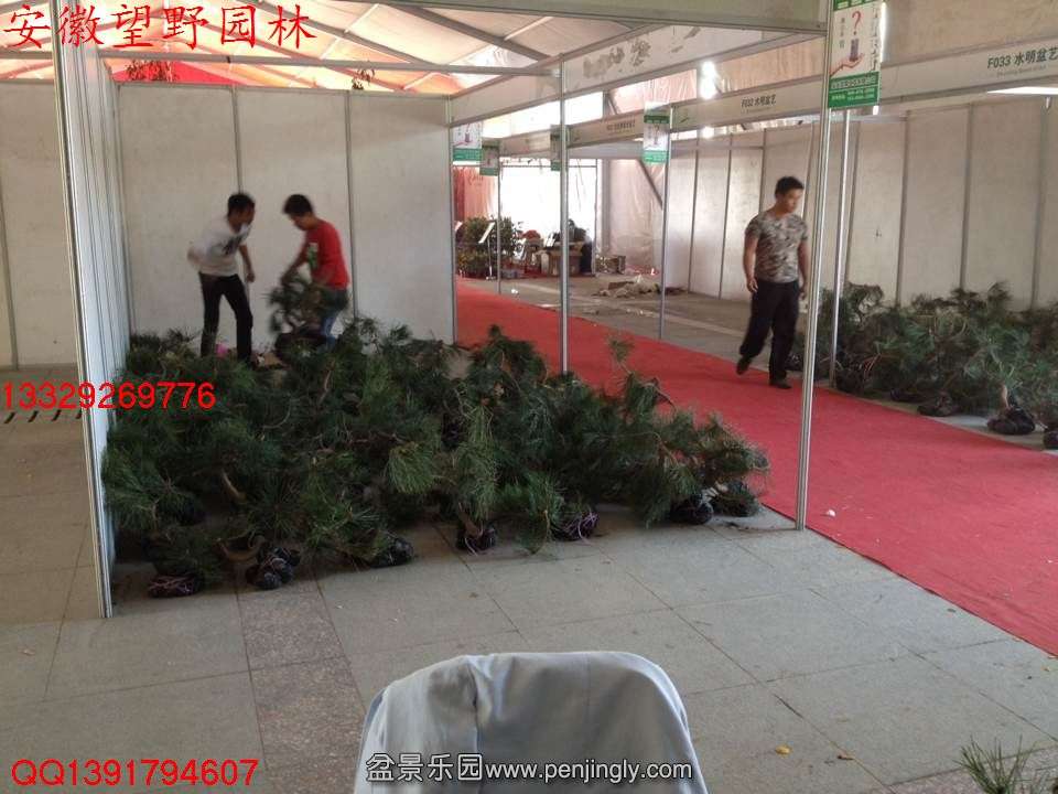 13456ABDAC6D0BAFA8AE3CD877C81237.jpg