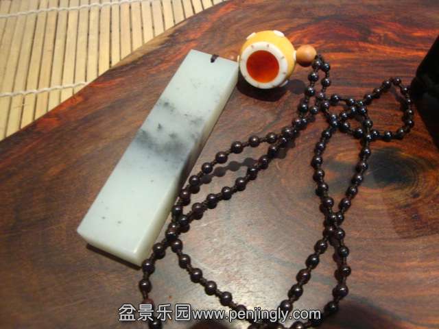 DSC09288.JPG