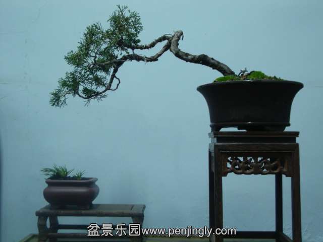 DSC03155.JPG