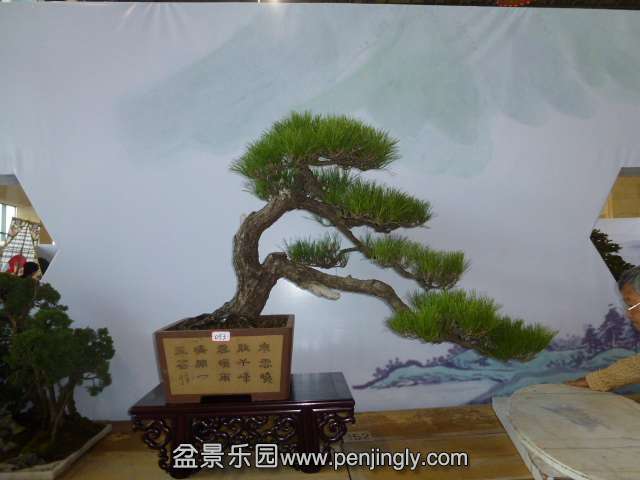 P1050980.JPG