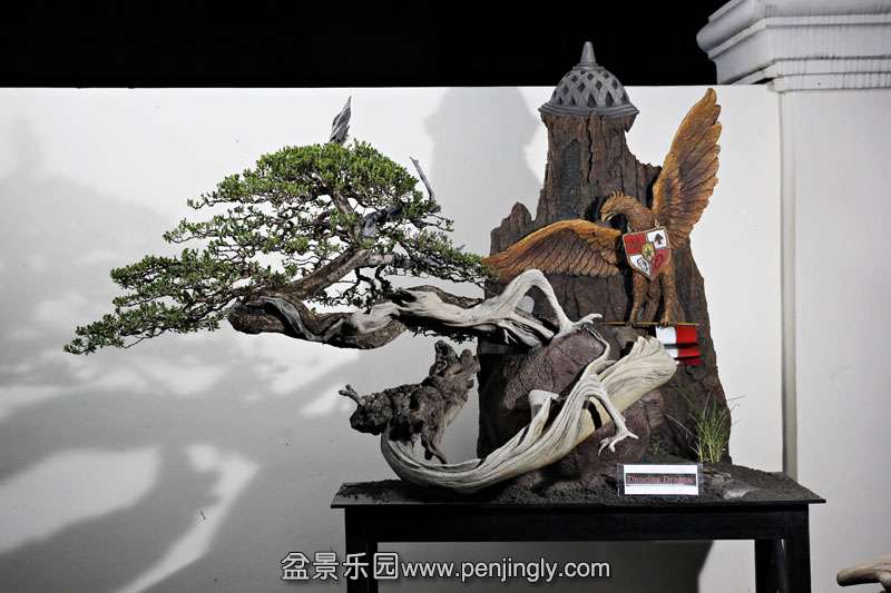 HR_068Bonsai.JPG