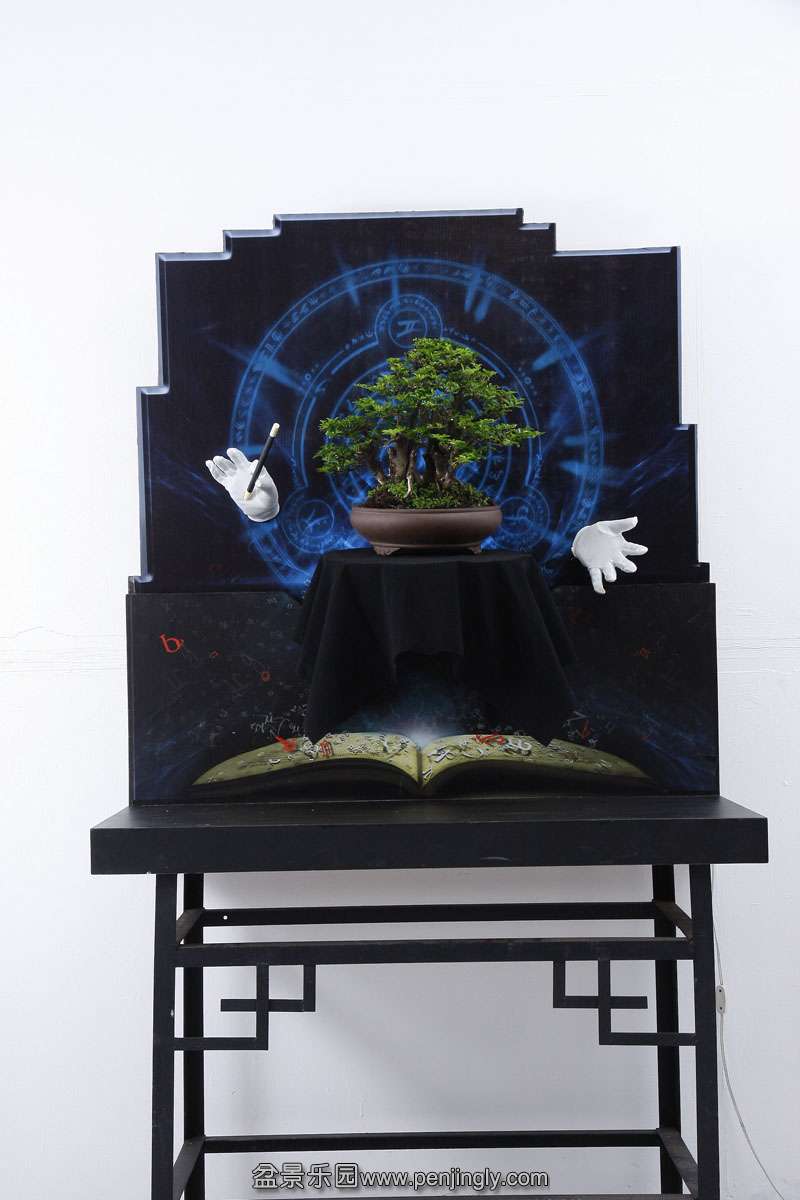 HR_072Bonsai.JPG