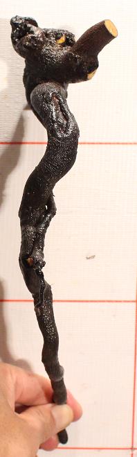 B812-2.jpg