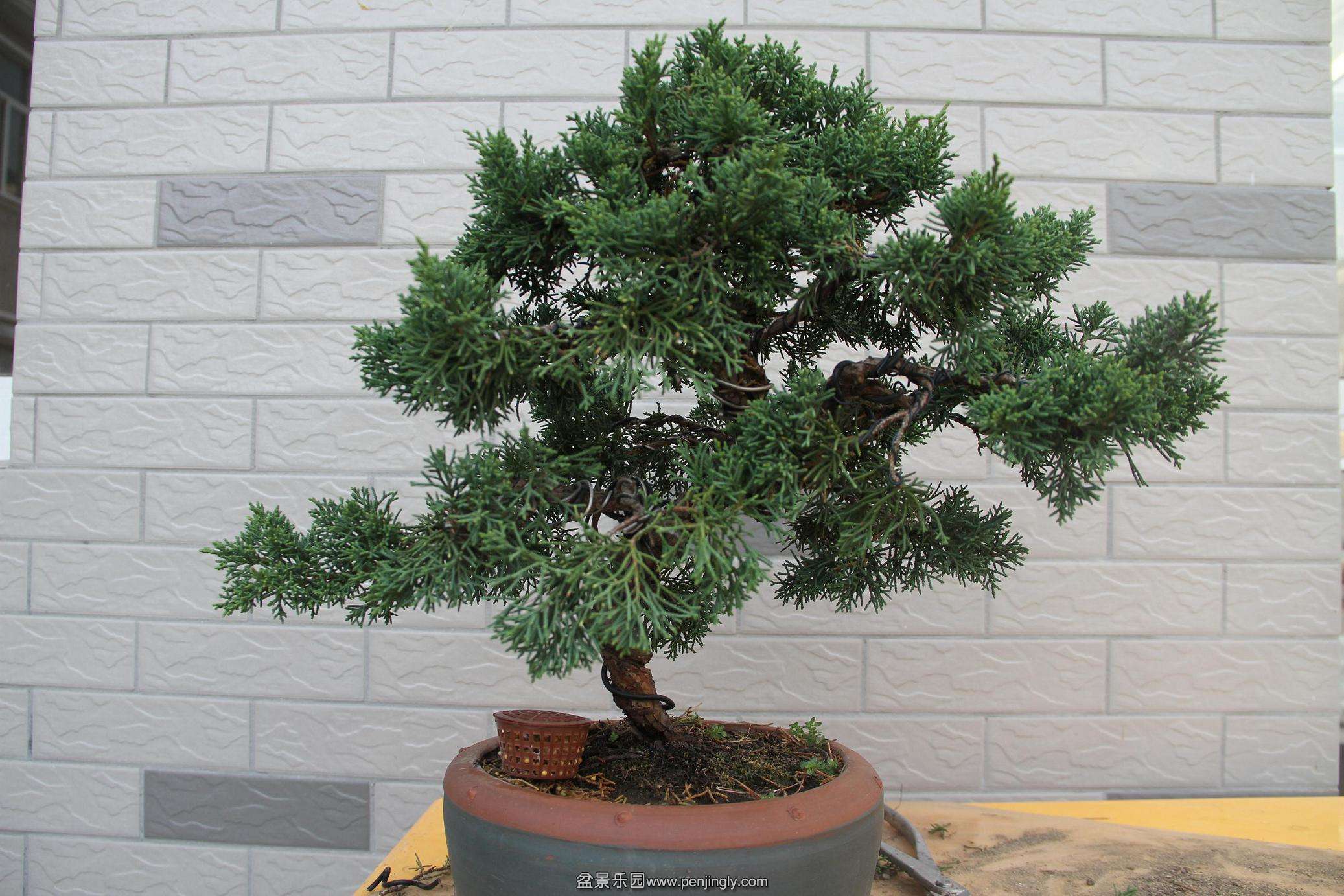 20141026������� 001.jpg