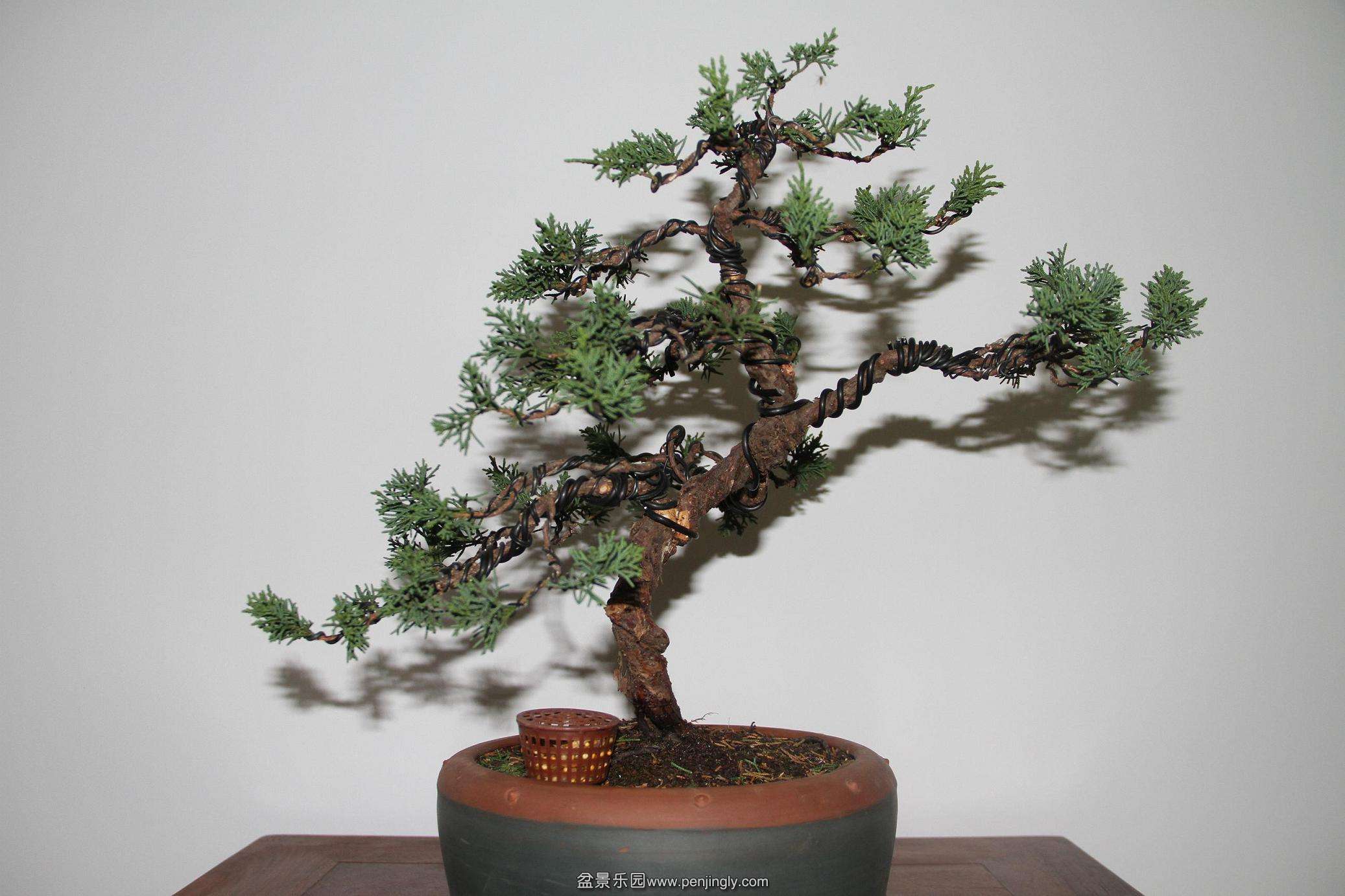 20141026������� 002.jpg