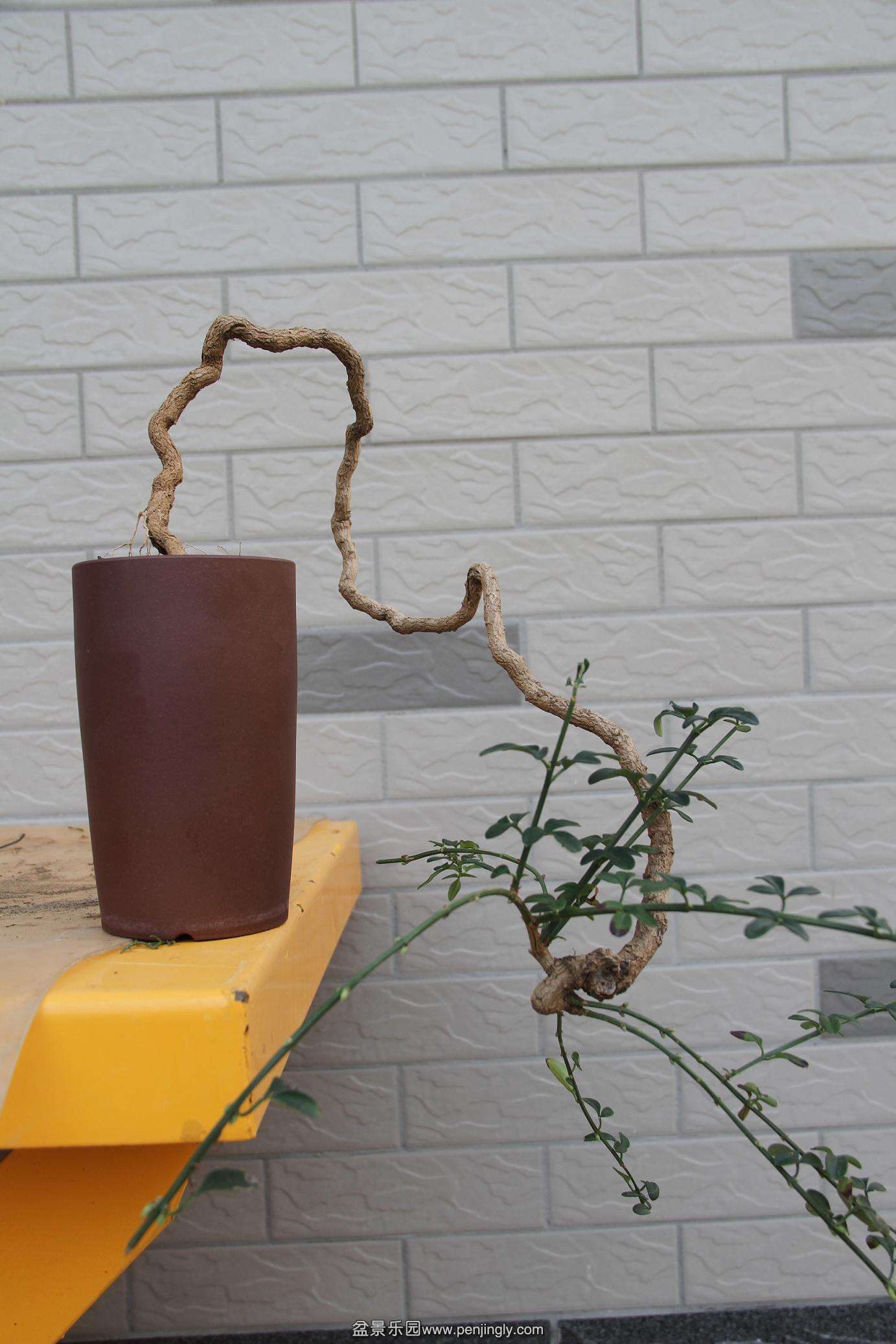 20141026ӭ������ 001.jpg