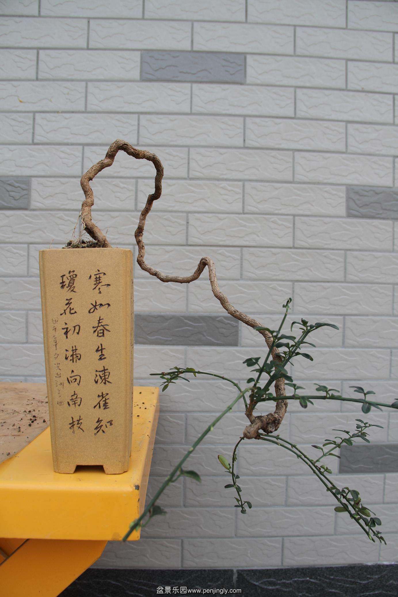 20141026ӭ������ 002.jpg