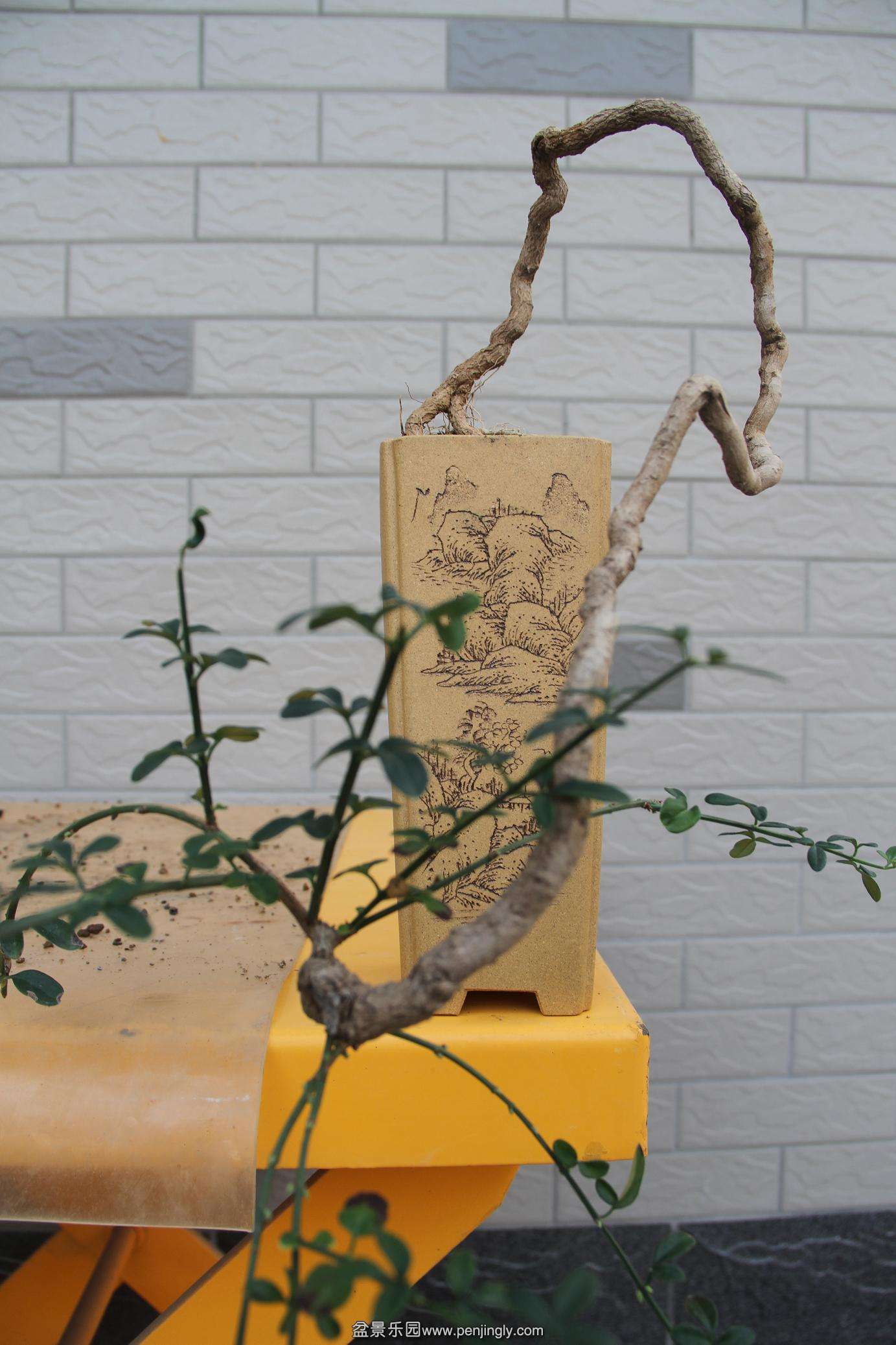 20141026ӭ������ 003.jpg