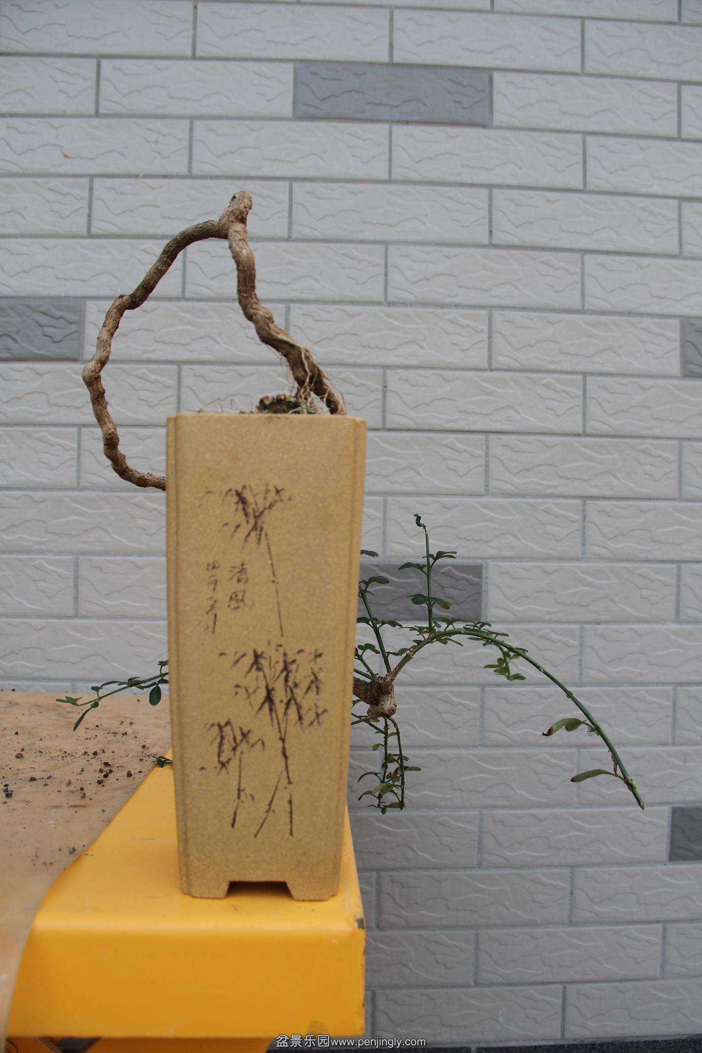 20141026ӭ������ 005.jpg