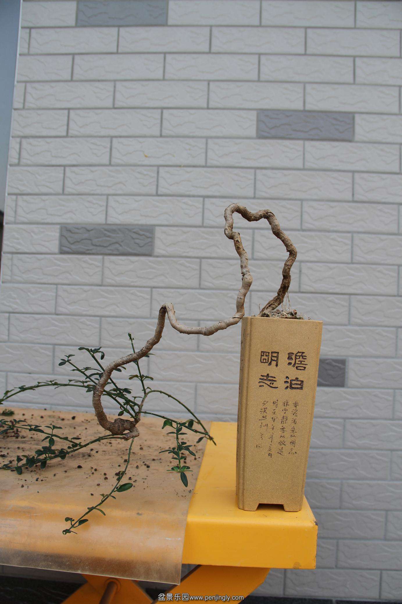 20141026ӭ������ 004.jpg