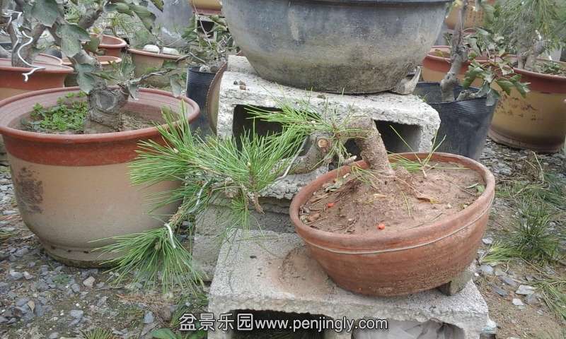 20141027_105359.jpg