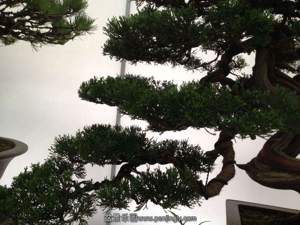 5A7323BE81CF141BDC89B14B081F200A.png