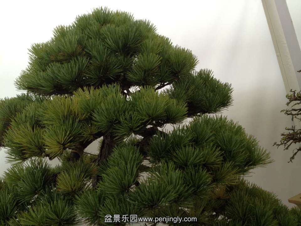 DB2B64977C4E12E71E4AC429AB6C5539.png
