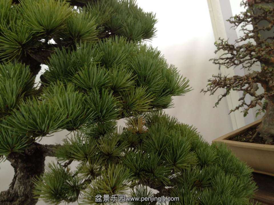 B3B78301C0921B2409CDA95B118E7210.png