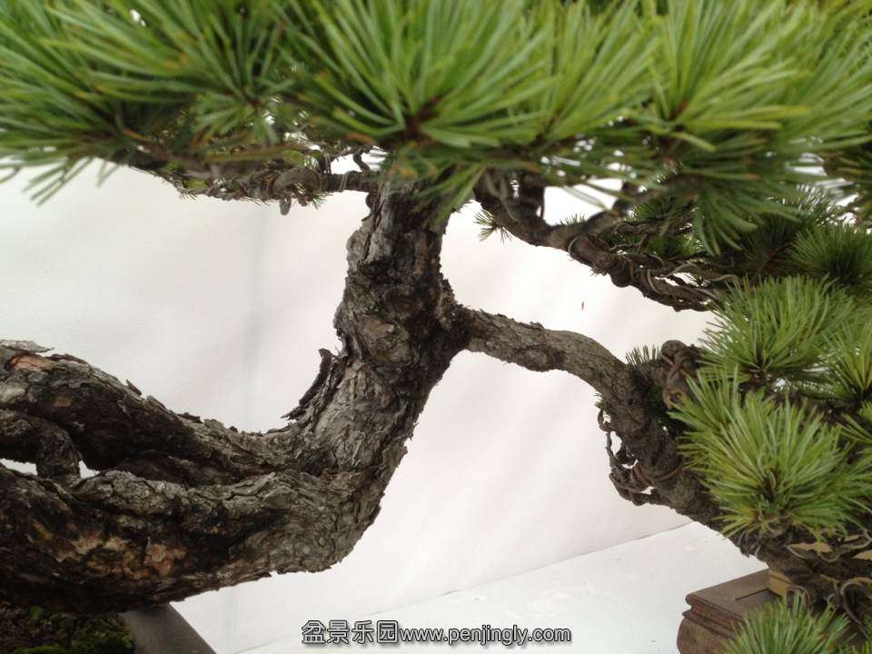 A80F75611896EEC7AE85776DBF9F9A58.png
