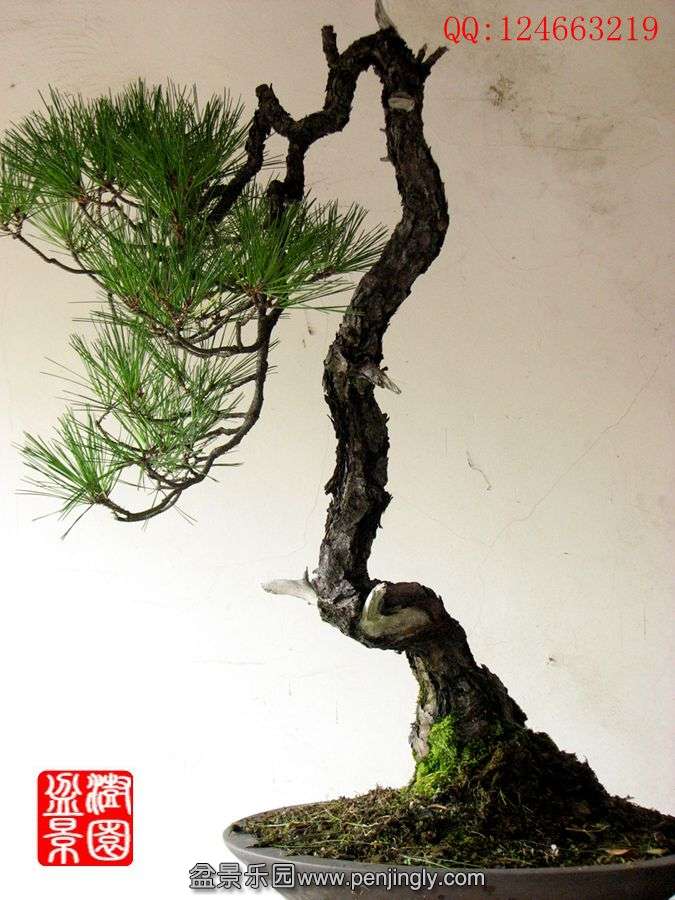 IMG_0193_.jpg